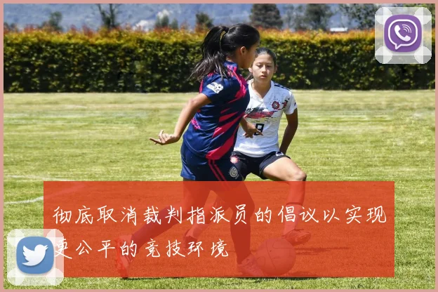 彻底取消裁判指派员的倡议以实现更公平的竞技环境